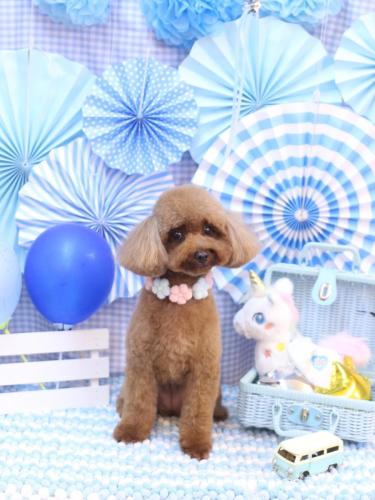 20231111ルアナちゃん